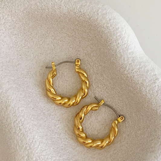 Twisted Earrings